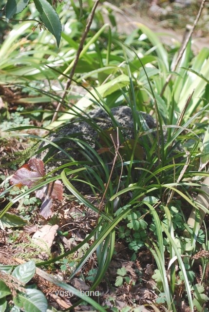 e0025300_13373229.jpg