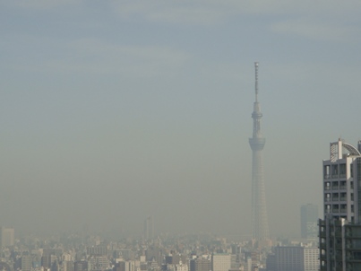 a0167803_23373240.jpg