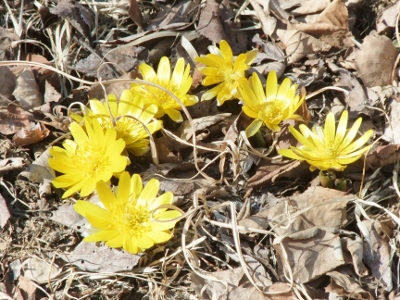 d0024504_18242017.jpg