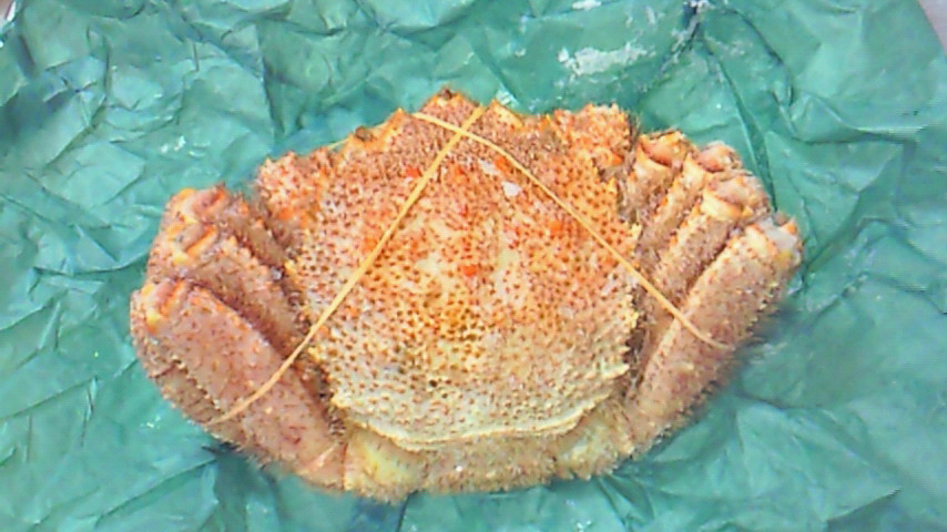 d0149105_21432395.jpg