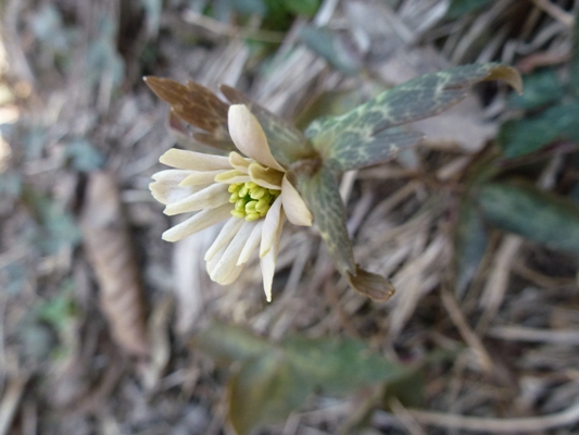 c0042418_8453184.jpg