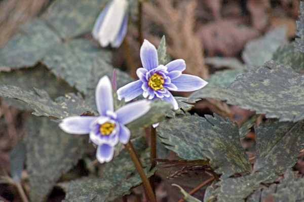 c0042418_852319.jpg