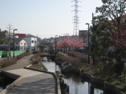 e0002927_16354254.jpg
