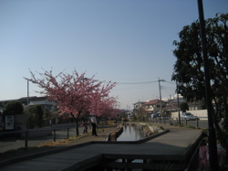 e0002927_163646.jpg