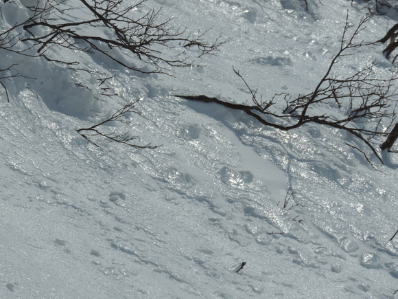 f0118332_1203027.jpg