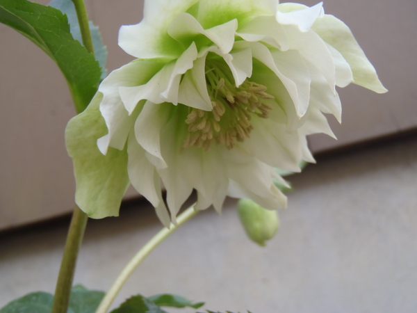 a0054240_0111966.jpg