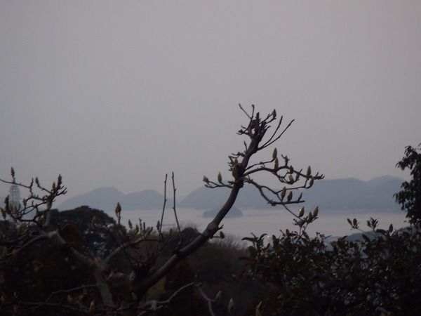 a0054240_0141227.jpg