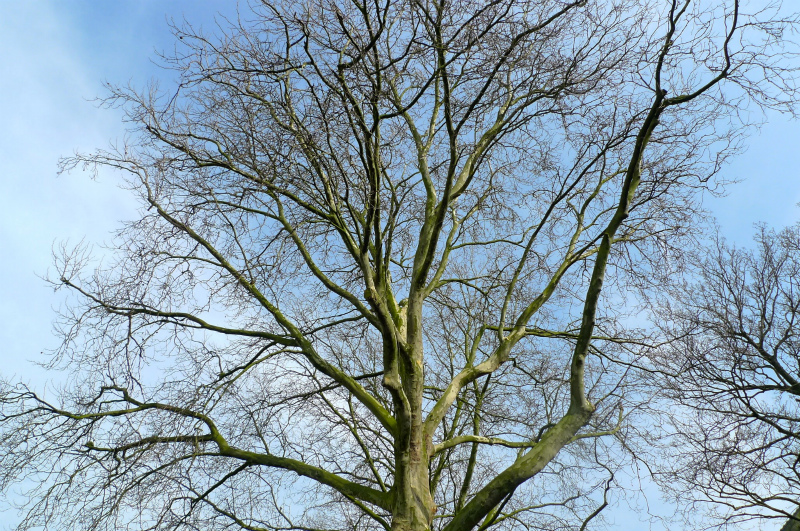 c0153740_427546.jpg