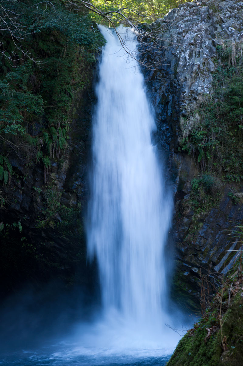 b0023047_533529.jpg