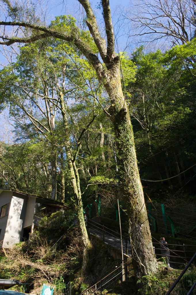 b0023047_5341375.jpg