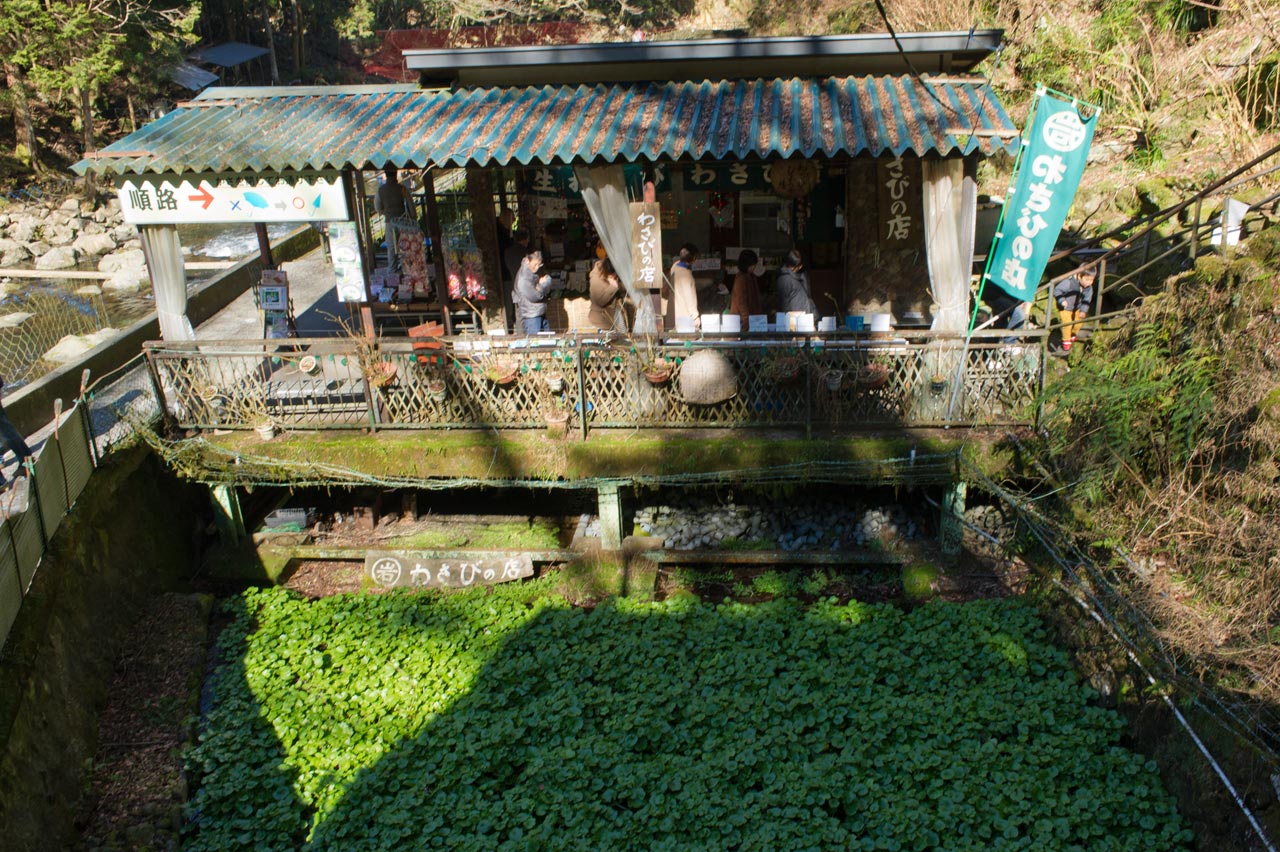 b0023047_5341760.jpg