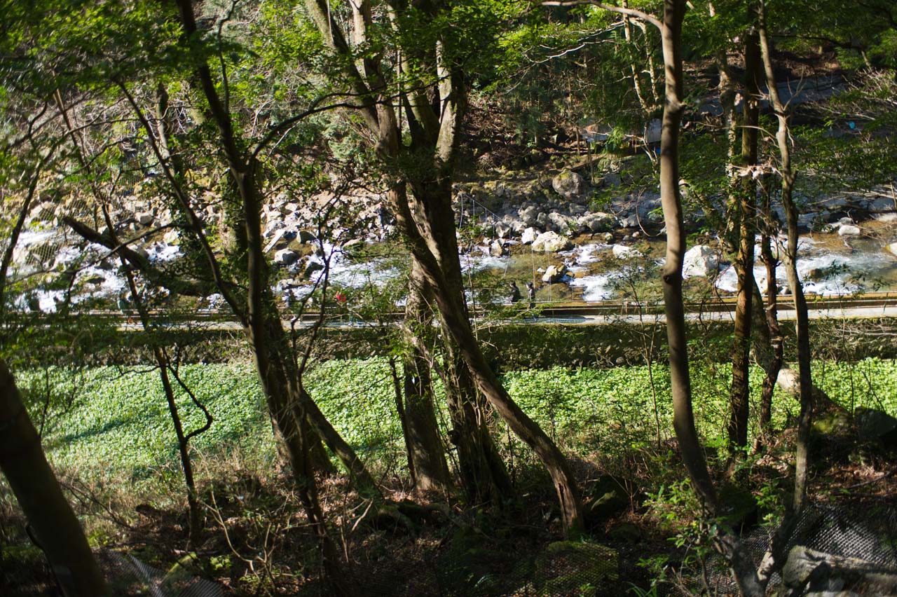 b0023047_5342222.jpg