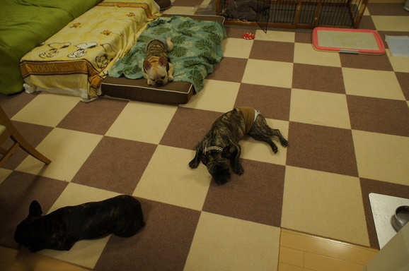 a0300264_11543624.jpg