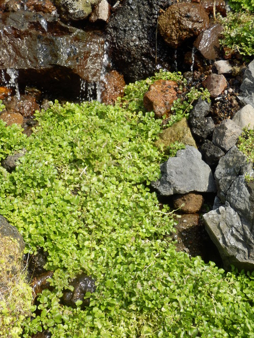 e0292172_20203244.jpg