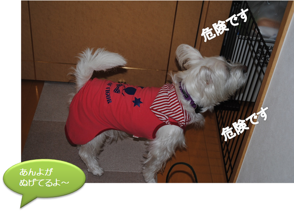 b0242873_22503972.png