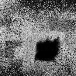d0246877_2357278.jpg