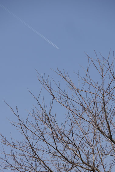 f0222692_1446544.jpg