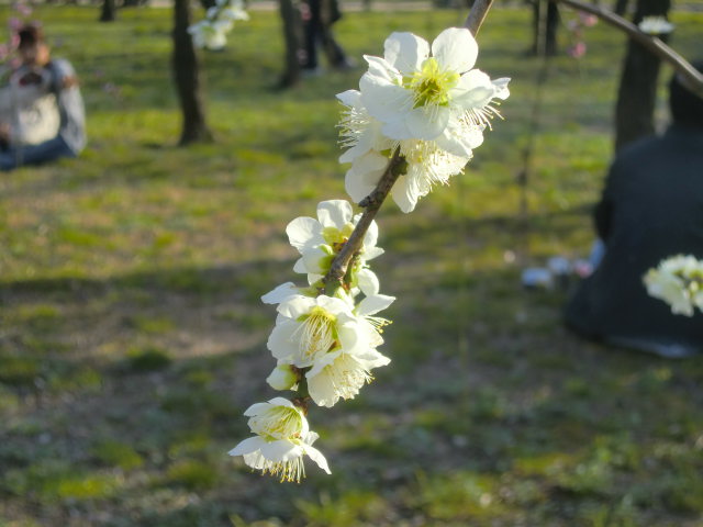 b0044296_2147376.jpg