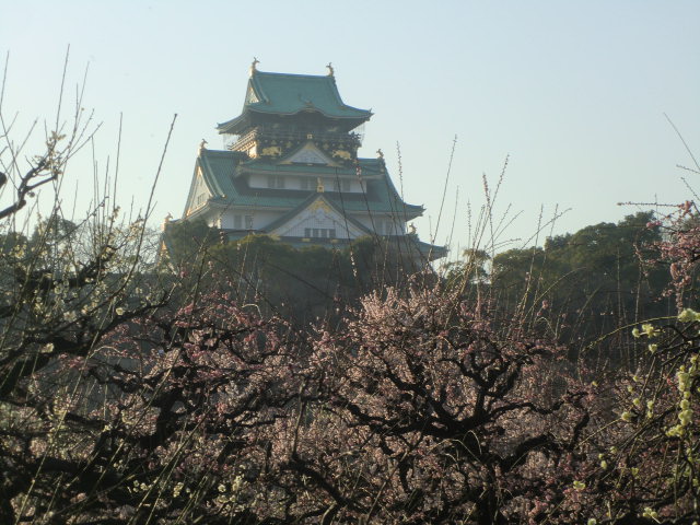 b0044296_21483729.jpg