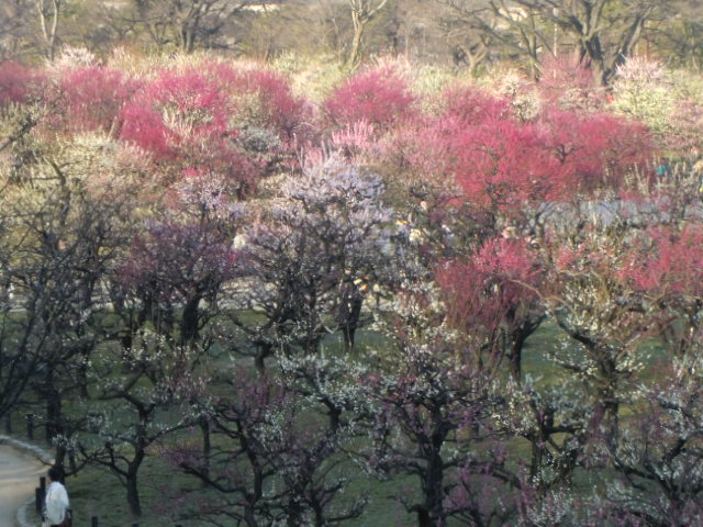 b0044296_21524349.jpg