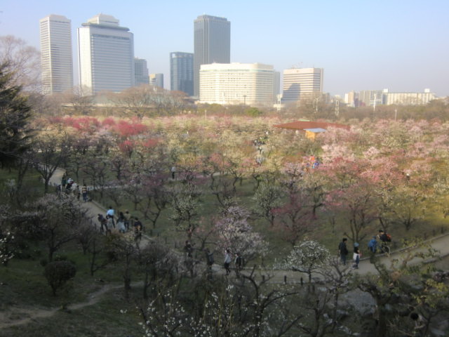 b0044296_2152947.jpg