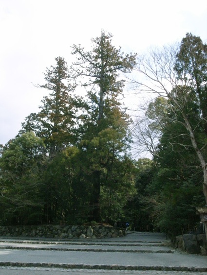 a0200299_237042.jpg