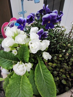 c0152002_10293088.jpg