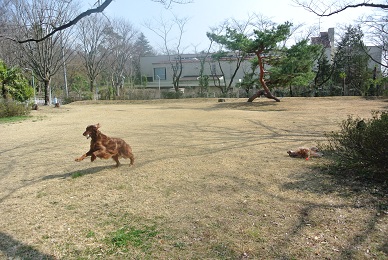 a0134004_2113456.jpg