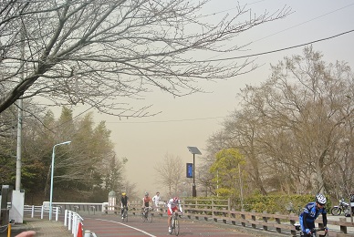 a0134004_21204723.jpg