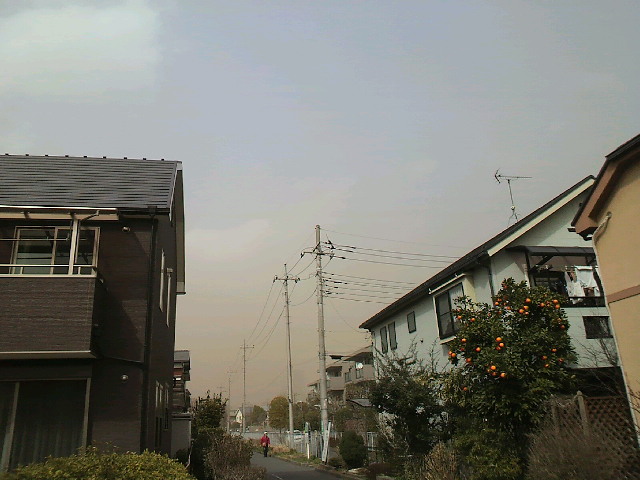 f0127408_23455091.jpg