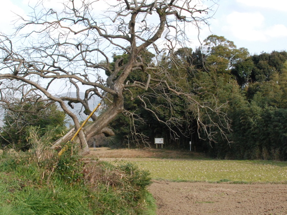 b0273309_1452065.jpg