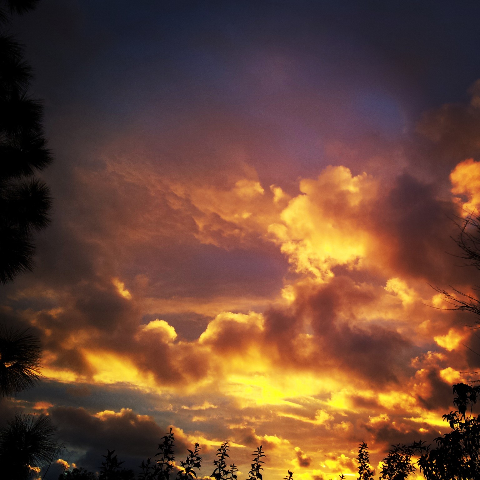 b0255523_801025.jpg