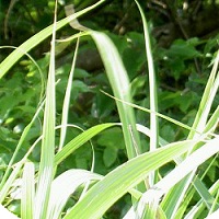 b0252727_221554.jpg