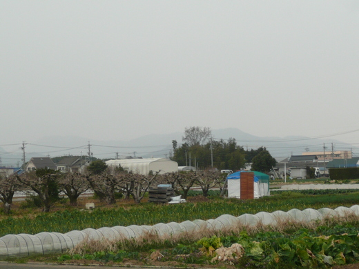 c0009528_2215752.jpg