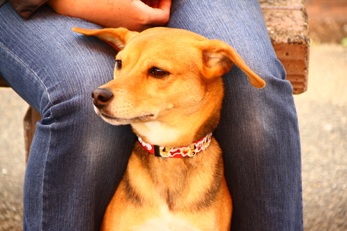 d0158028_18475046.jpg