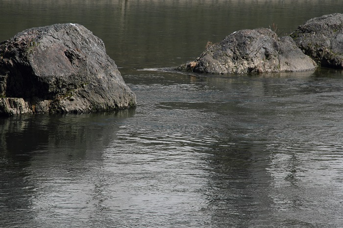 c0090530_844460.jpg