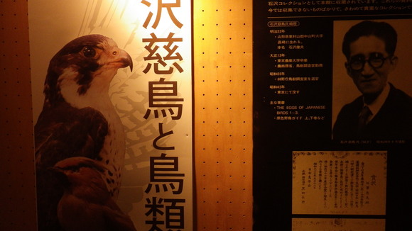f0118332_21395056.jpg