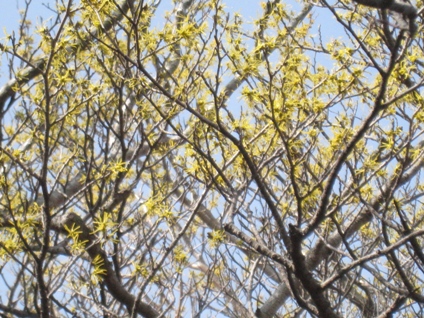 c0077338_11131123.jpg