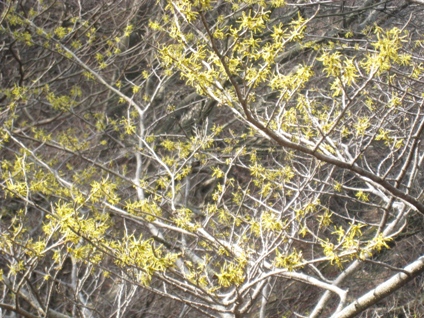 c0077338_11132351.jpg