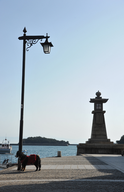 b0075541_22475617.jpg