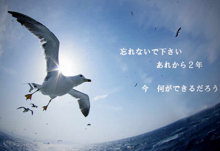 b0130243_23394151.jpg