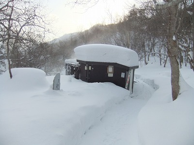 e0173645_1149342.jpg