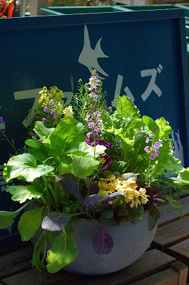 e0025655_5471227.jpg