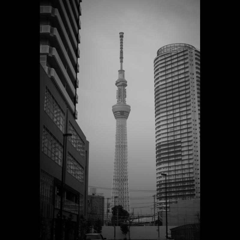 c0118173_21493550.jpg