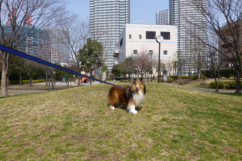 a0157174_165810100.jpg