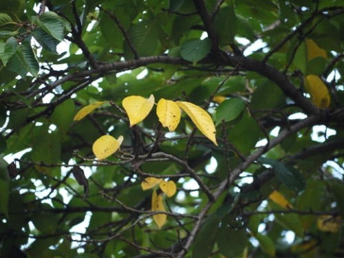 c0283778_18101027.jpg