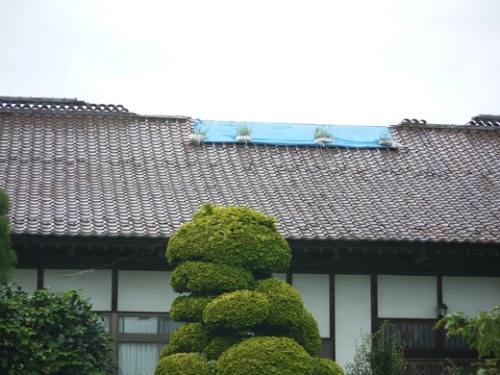 c0283778_18102382.jpg