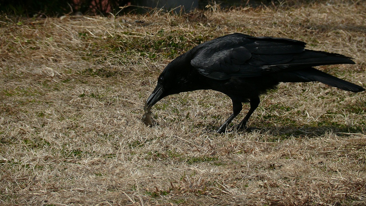 a0185081_17541973.jpg