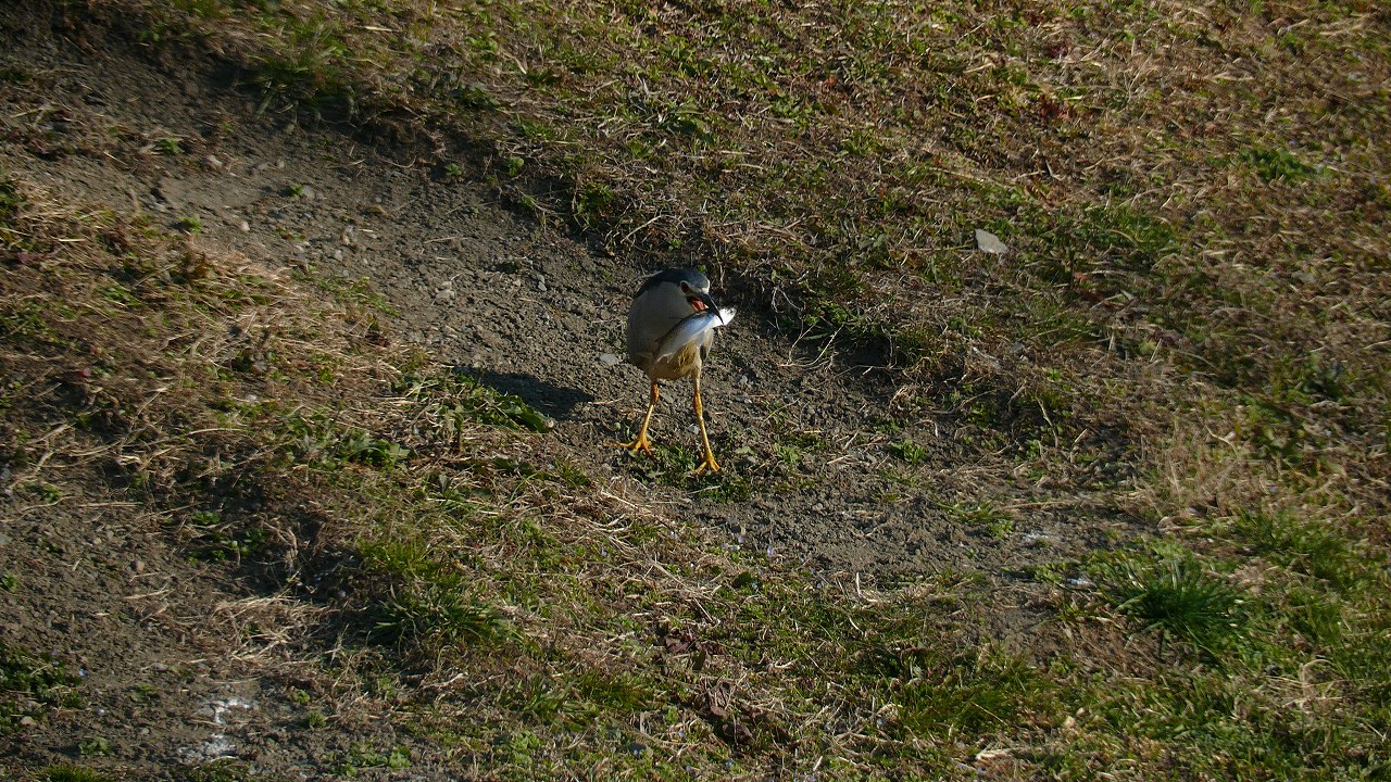 a0185081_17543114.jpg