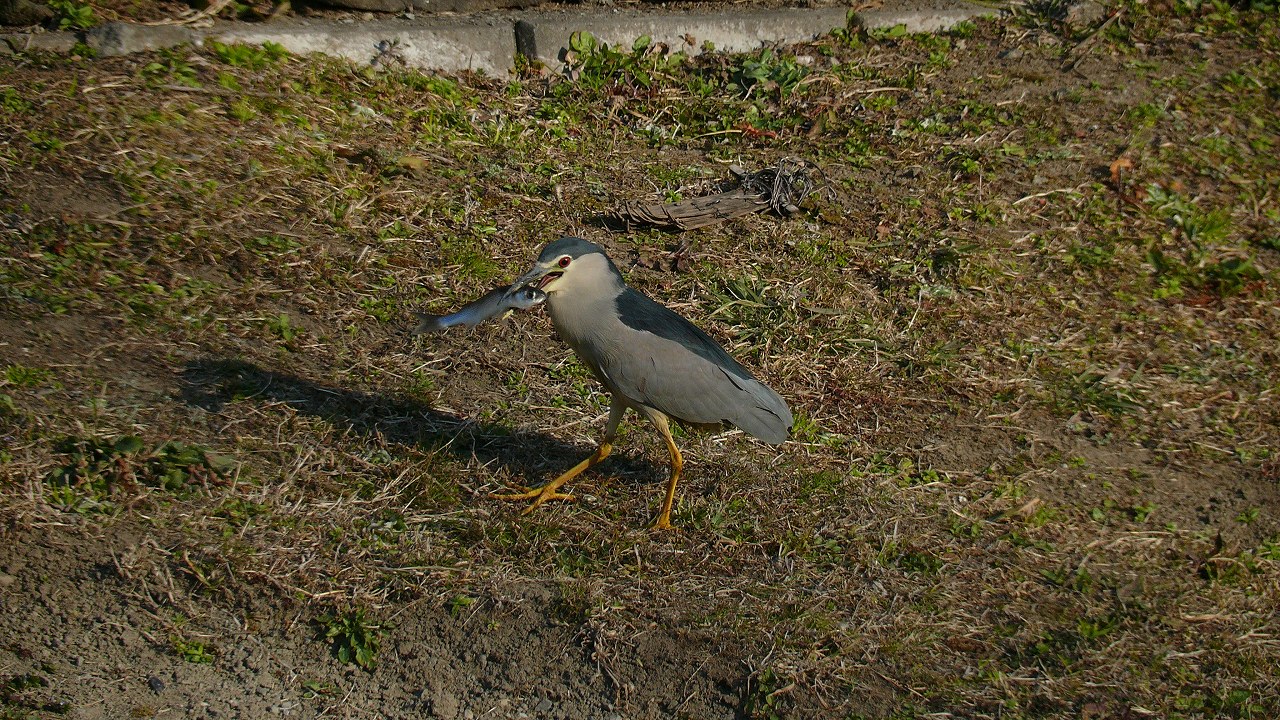 a0185081_17544462.jpg